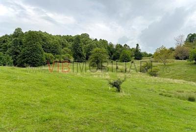 Teren de poveste in inima Brezei, zona Nistoresti - 5