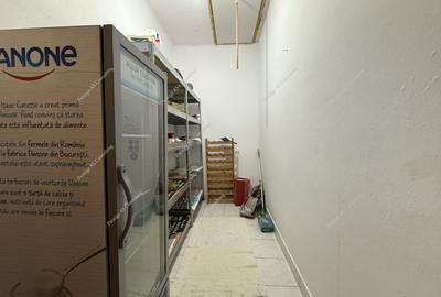 Casă individuală cu 4 camere cu Canalizare în Girocului - 13