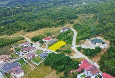 TEREN INTRAVILAN - RM. VALCEA - 3