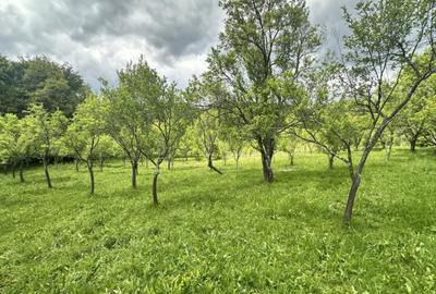 Teren intravilan 3102mp zona Racovita-Blanoiu - 8