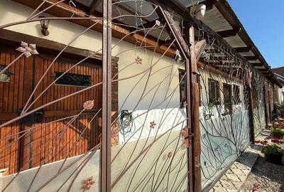 MZ imobiliare vinde casa in Ilba!