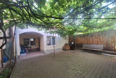 Doua case de vanzare in aceeasi curte, in zona Sub Arini - 3