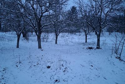 Teren Construcții intravilan de 5950 mp, în Central - 14