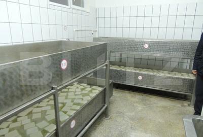 Cladire de vanzare (fosta fabrica de lactate) Cladire de vanzare (fosta fabrica de lactate) - 15