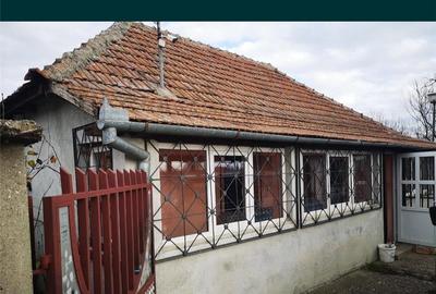 Casă cu 3 camere cu Teren 400 Mp în Ineu - 5