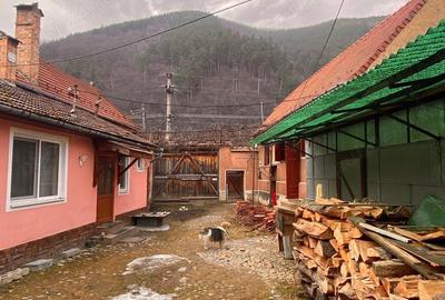 Casa in Gura Raului - 3