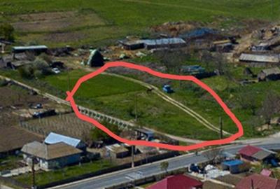 Teren de 2200 mp, în Sarinasuf - 6