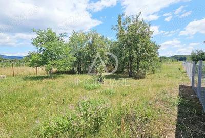 Casa de vanzare - Runcu, sat Rachiti - 14