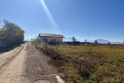 Teren de 800 mp, în Hărman - 6