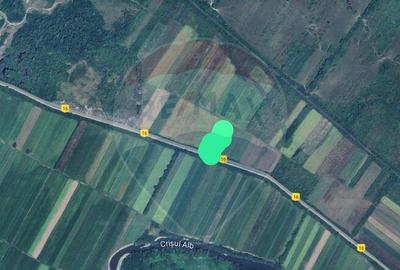 Teren extravilan 25.936 mp intre Barsa si Sebis