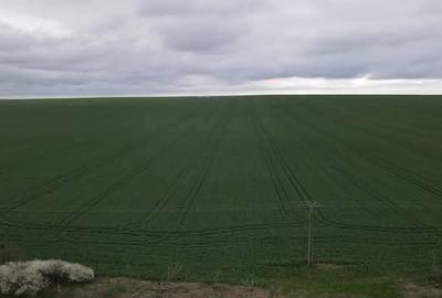 Teren Construcții intravilan de 27 mp, în Giarmata - 3