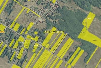 Teren Jiana Veche, Comuna Jiana, jud. Mehedinti-18.02 - 4