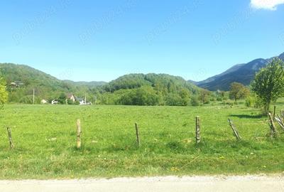 Teren de 25500 mp, în Cheile Râșnoavei - 5