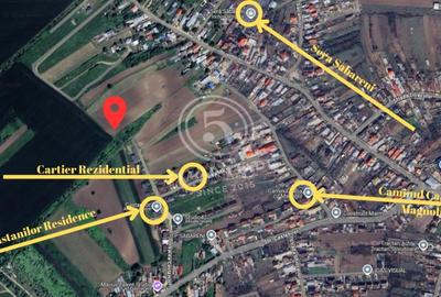 Sabareni in apropierea Padurii Cereanca- Teren de Vanzare - 2
