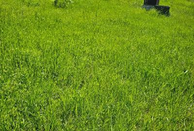 Casă cu Teren 2900 Mp în Central - 5