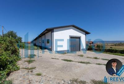 Hala de inchiriat, Sat Valea Seaca, Com. N. Balcescu,... - 1