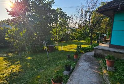 Casă individuală cu 2 camere cu Teren 983 Mp în Central - 2