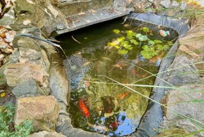 Casa individuala 6 camere, 200mp utilit, 605mp, teren Zona M - 2