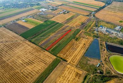 Teren agricol extravilan de 4271 mp, în Vladimirescu - 1