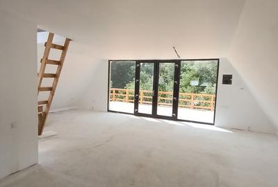 Campina, Plaiu Campinei - 9