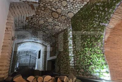 Spa?iu Comercial 313 mp, Ultracentral, pretabil ptr restaurant, club Spa?iu Comercial 313 mp, Ultracentral, pretabil ptr restaurant, club - 5