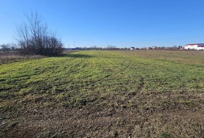 Spațiu comercial, în Titu - 5