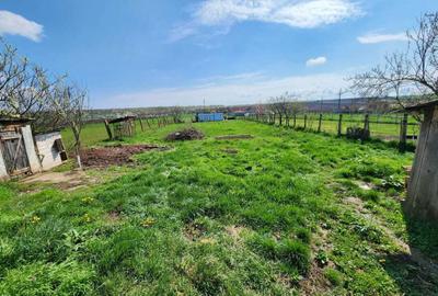 Casă cu 4 camere în Sântandrei - 2
