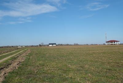 Teren Construcții intravilan de 1075 mp, în Găneasa - 5