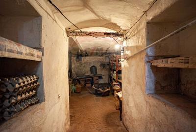 Casa solida cu 4 camere, demisol si garaj - Pecica - 22