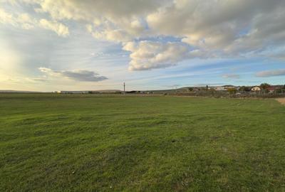 Teren si proiect, 15813mp, fata Skoda - 3