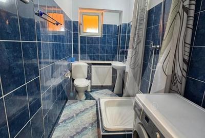 Chirie in Centrul Sibiului: Apartament cu Terasa Panoramica si Gradina! - 6