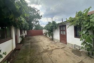 Casa de vanzare in loc. Zadareni jud. Arad - 4