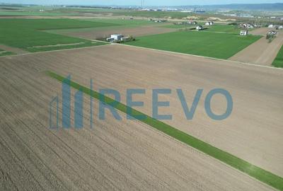 Teren de 10500 mp, în Nicolae Bălcescu - 9