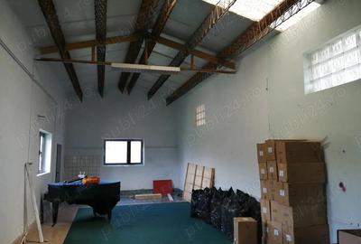 Inchiriez hala si locuri de parcare in curte ingradita pe Calea Torontalului - 3