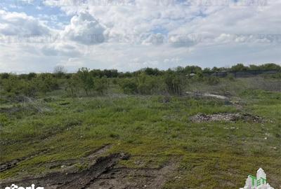 Teren de 1946 mp, în Corbeanca