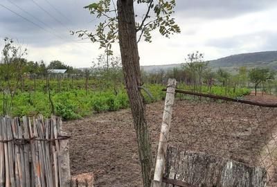 Teren de 1000 mp, în Exterior Vest - 2