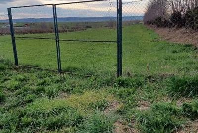 Teren Intravilan 1800mp  in Poplaca - 1