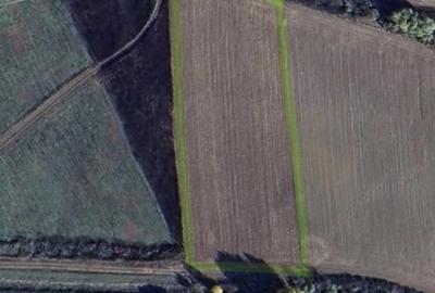 Teren intravilan de 5800 mp, la Asfalt zona Bucovat - 1