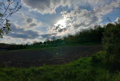 Spațiu comercial, în Papiu Ilarian - 4