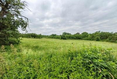 Teren intravilan 18.645 mp in Satul Santamaria de Piatra (sat apartinator Orasului Calan) din Jud HD - 17