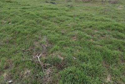 Teren de 600 mp, în Colacu - 3