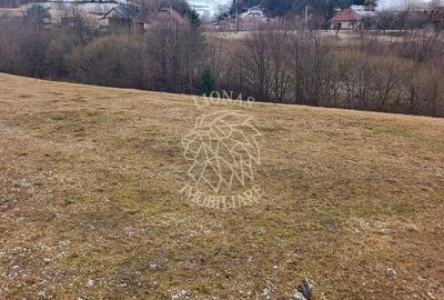 Teren agricol extravilan de 8335 mp, în Vișagu - 8