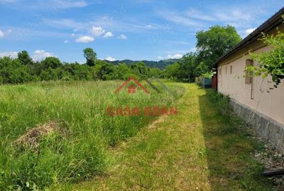 Casă cu Teren 3399 Mp în Brebu - 4