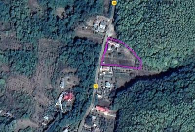 Casă cu Teren 3845 Mp în Leordeni - 3