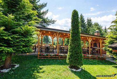 Spațiu comercial, de 3,200 mp, în Bran - 20