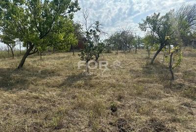 Teren de 1665 mp, în Dealuri Oradea - 8