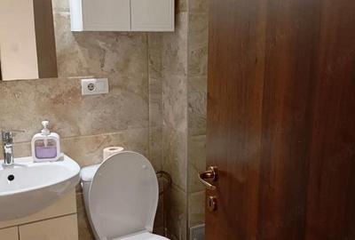Apartament cu 2 camere semidecomandat în Bucium - 8