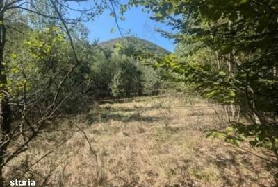 Teren de 1000 mp, în Central - 1