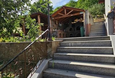 Casă cu 4 camere în Viișoara - 14