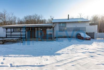 Proprietate cu casa si spatiu comercial+teren 4060 mp Bahna - 5